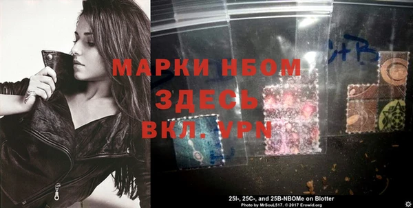 стафф Приозерск